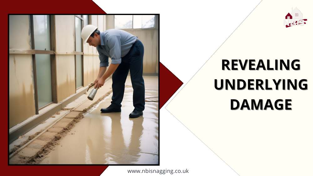 Revealing_Underlying_Damage